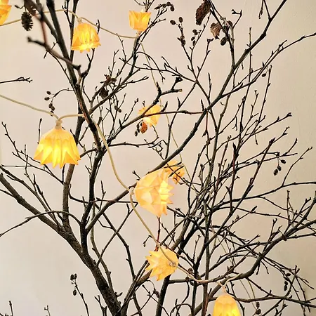 Apartment Spirit Piz Mezdi 15