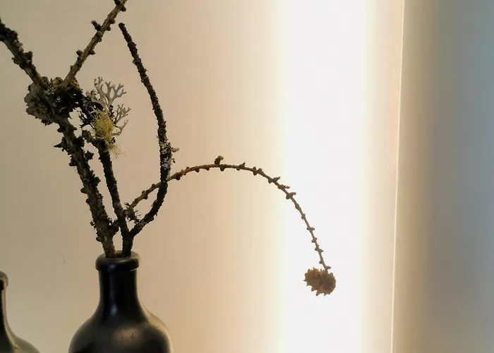 Spirit Piz Mezdi 15 * São Moritz