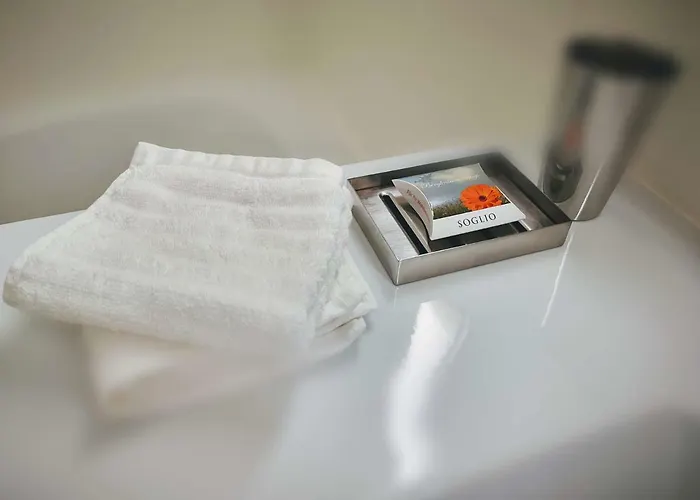 Spirit Piz Mezdi 15 Apartment St. Moritz